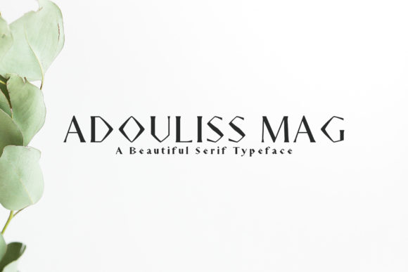 Adouliss Mag Family: A Serif Font for Modern Web Design