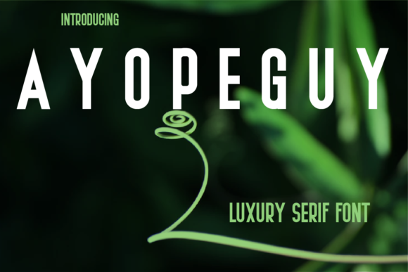 Ayopeguy: A Font for Polished Branding