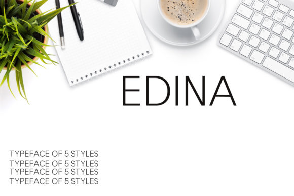 Edina: A Clean, Modern Sans Serif Font for Handmade Creators