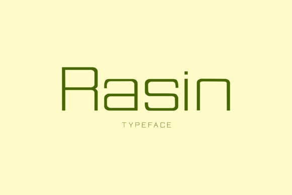 Rasin: A Font for Modern Business