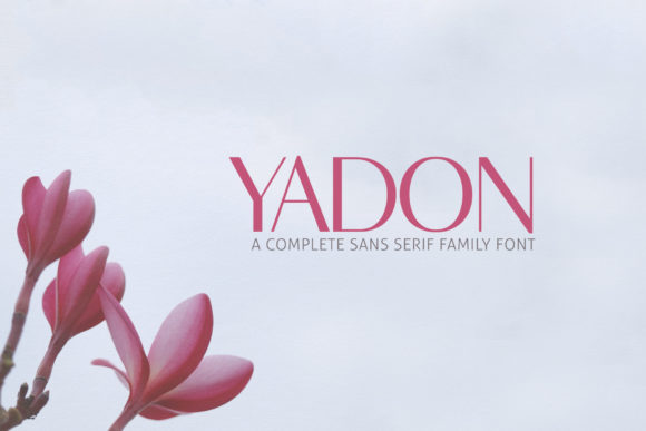 Yadon Family: A Modern Sans Serif